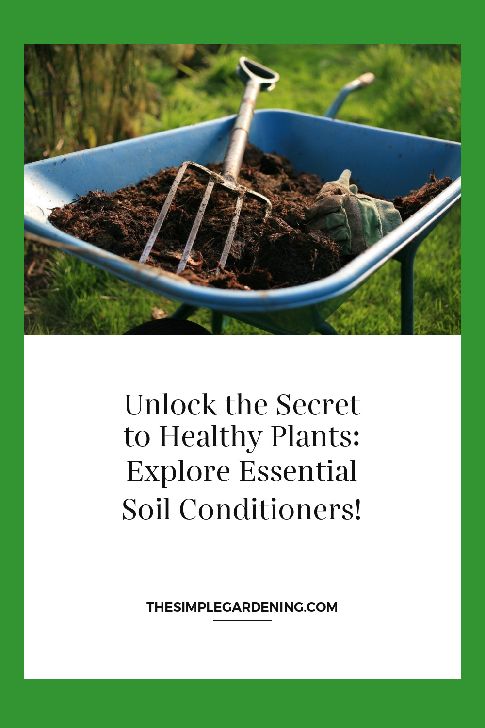 Unlock the Secret to Healthy Plants: Explore Essential Soil Conditioners!